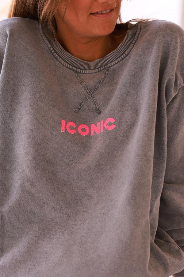 Gray Iconic Jersey Sweater