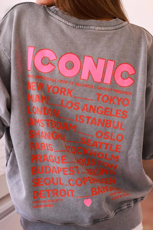 Gray Iconic Jersey Sweater